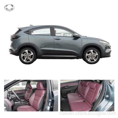 Ridever Mnv EV Cars New Energy Vehicle Electric Automobile Car